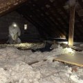 The Importance of Properly Maintaining Attic Insulation