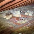 13 Signs That Your Attic Insulation Needs Attention - Expert Insights